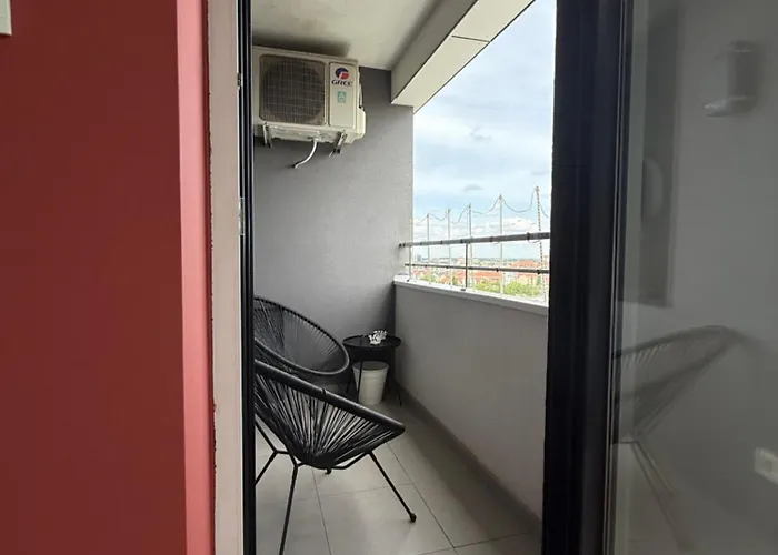 Coco * נובי סאד